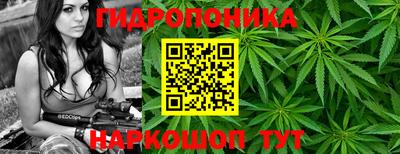 ешки Обнинск